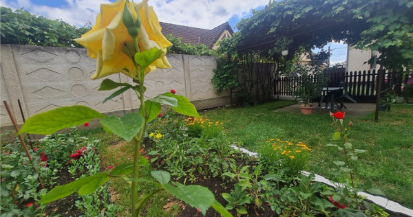 Poveste saseasca la umbra vitei de vie, cu crama si gradina