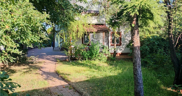 Vila deosebita, Brancoveanu, Luica, curte generoasa. Merita