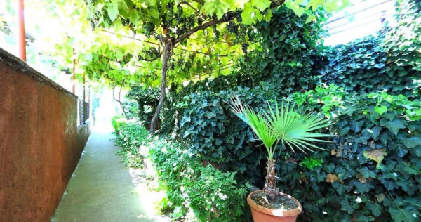 Palazu Mare - Strada Gheorghe Baritiu 16, casa cu teren d...