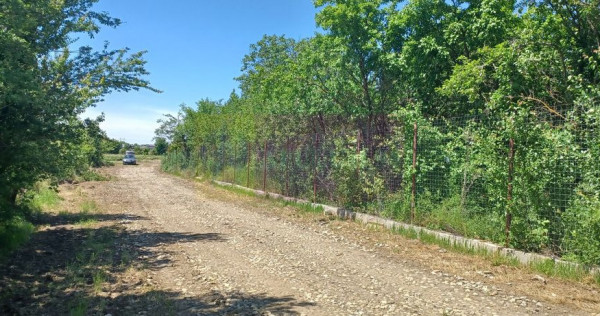 Săbăreni, lot de casă 500 mp, curent lângă teren