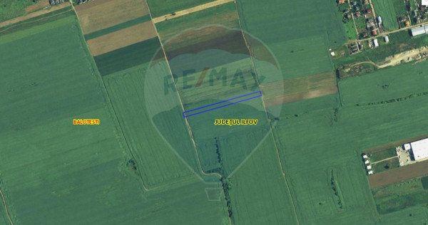 Teren 4,769mp Balotesti