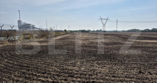 Teren Extravilan Dumbravita pentru investiei