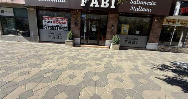 Stefan cel Mare - spatiu comercial stradal 120mp