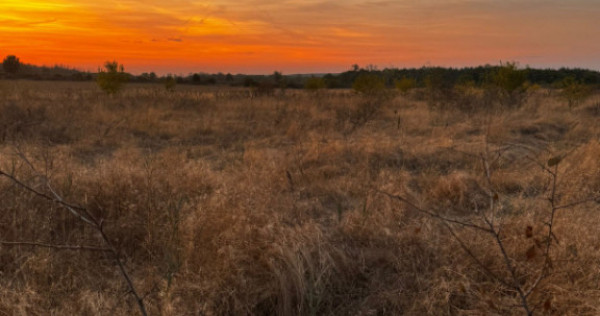 Teren extravilan 5000 , 2,5 euro mp BREASTA