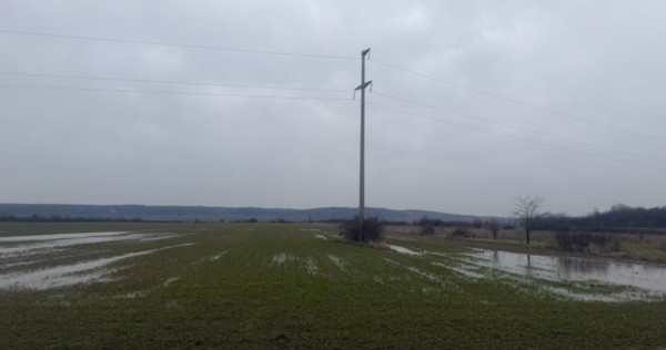 Teren extravilan 5000 , 2,5 euro mp BREASTA