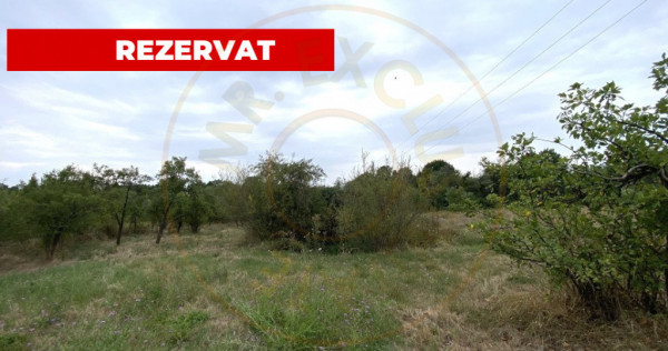 Teren intravilan 1.765 mp in Poiana Lacului, AG