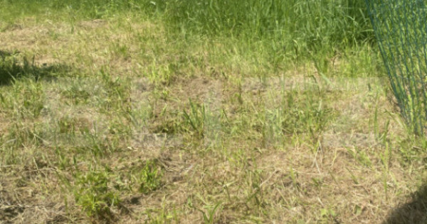 Teren intravilan în Vatra Dornei, 1000 mp