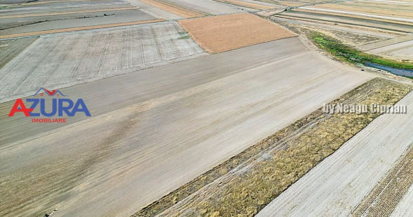 Teren agricol, 5HA, comasat, drum acces, Cateasca