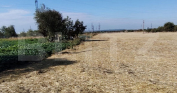 Teren Isalnita intravilan, 2500 mp, toate utilitatile