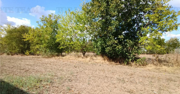 Teren intravilan, stradal in Petrachioaia IF, cu o SU de 123