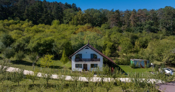 Comision 0%! Vilă modernă, în mijlocul naturii