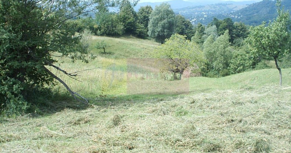 Teren extravilan de vanzare in Telega