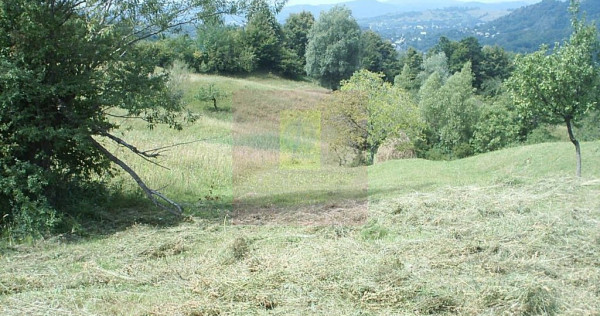 Teren extravilan de vanzare in Telega