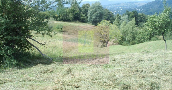 Teren extravilan de vanzare in Telega