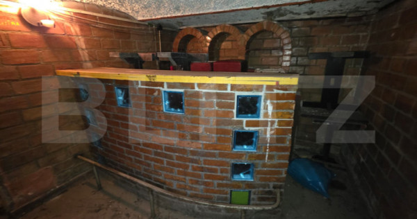 Proprietate istorică cu potențial de transformare, in excl