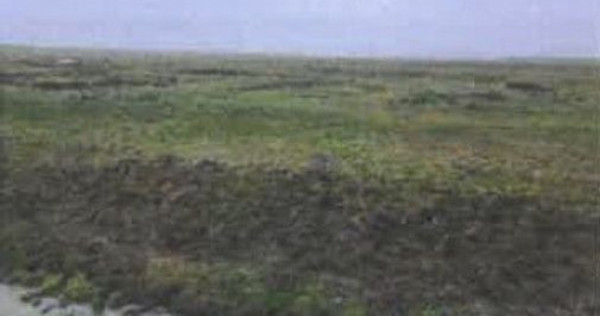 Teren pasune Luciu, cota parte 10000/407492 ; ID: R2766691