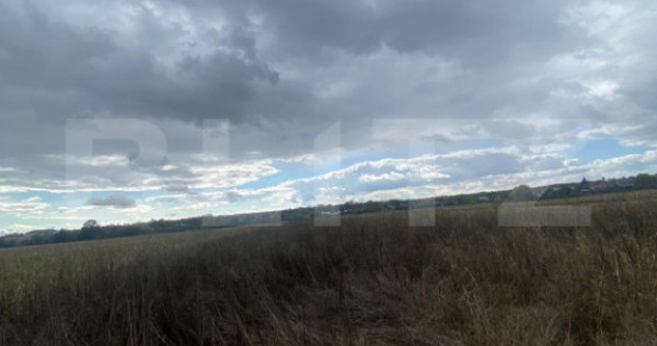 Teren extravilan, 2500 mp, zona Lucieni