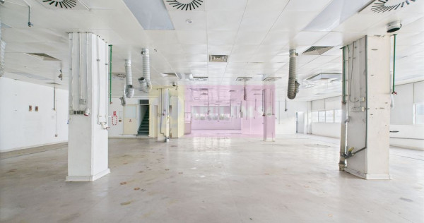Spatiu Industrial | Comercial Dristor VITAN | RACARI