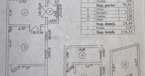 Casa cu 9 camere, Parcul Carol
