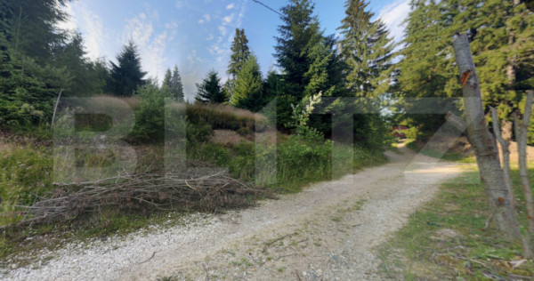 Investitie ! Teren intravilan 990 mp, front 23 m, Muntele B