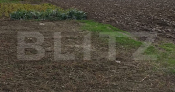 Teren extravilan, Isalnita, 13m deschidere, 3000mp