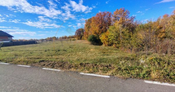 Teren Mosoaia 10200 mp intravilan Arges