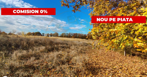 Teren Mosoaia 10200 mp intravilan Arges