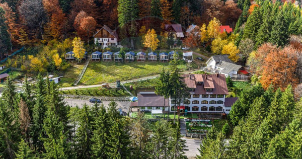HOTEL "CERBUL CHALET" de vânzare/ zona Râsnov-Pârâul ...