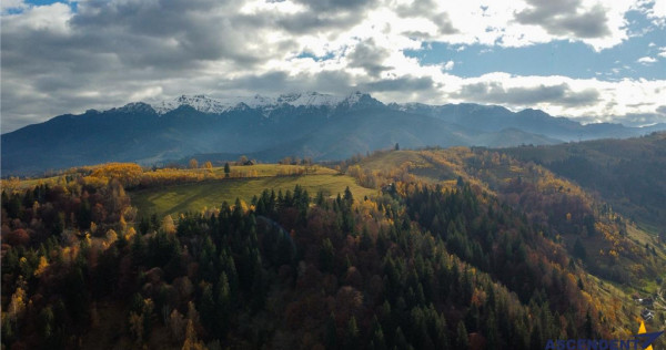 FILM! Teren intravilan spectaculos,1.000 mp,Moieciu,panorama