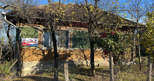 GOSPODARIE - liniste - natura - DE VANZARE