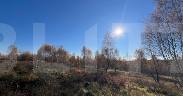 Teren construibil de vanzare, zona casele Micesti