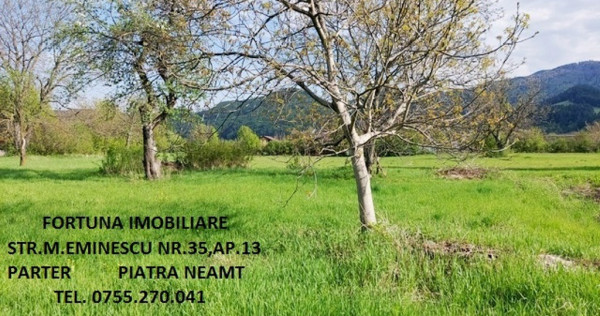 Teren intravilan 1480 mp, Alexandru cel Bun