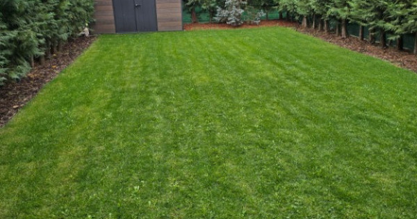 Duplex Confort și intimitate Dumbrăvița in față