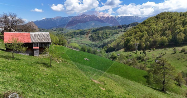 Peisaj spectaculos | Utilități ITeren intravilan Moieci...