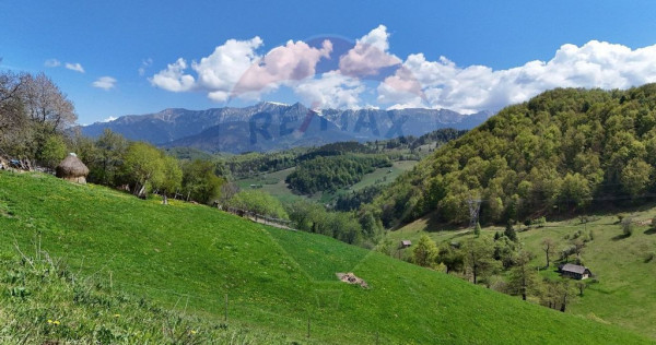 Peisaj spectaculos | Utilități ITeren intravilan Moieci...