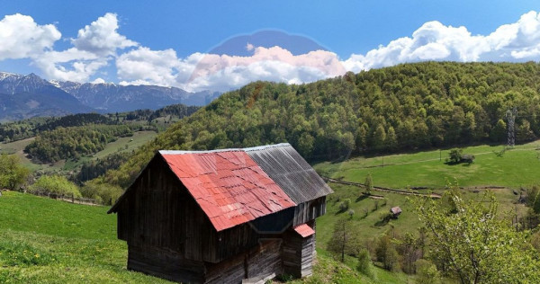 Peisaj spectaculos | Utilități ITeren intravilan Moieci...