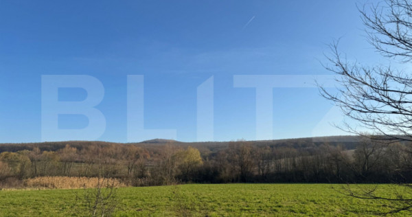 5 terenuri extravilane agricole cu suprafata totala de 13.37