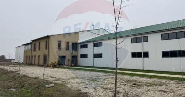 Ferma agro-industrială – 43 ha Adunații Copaceni