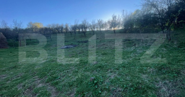 Teren Intravilan 1890mp Oarda de Sus