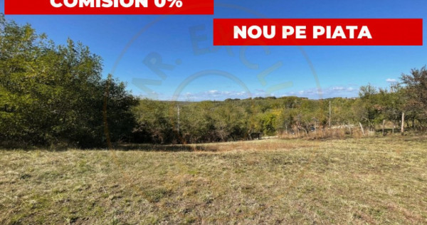Teren Arges Babana- zona cu peisaj - ideal pentru afacere