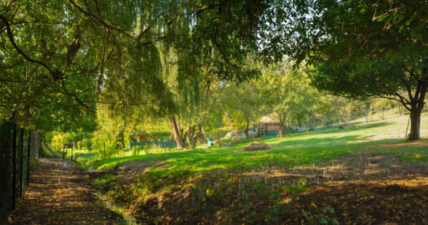 Teren Intravilan 3290 mp Codlea 3 Parcele