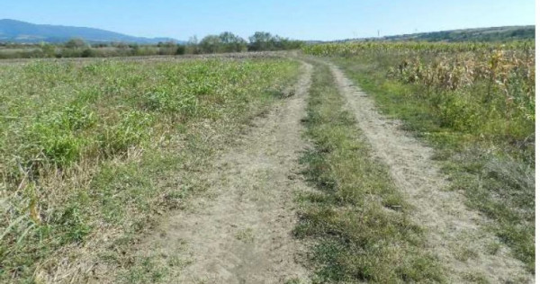 Teren extravilan arabil, situat in Oravita, Jud Caras-Sev...