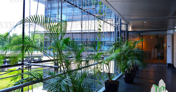 Spatiu de Birouri de 543 mp in Zona Baneasa