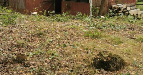 Firiza, 4,5 ari teren