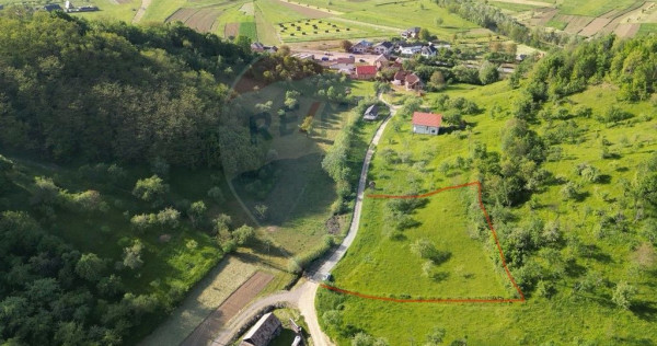 COMISION ZERO - Teren 2339 mp in Barsana