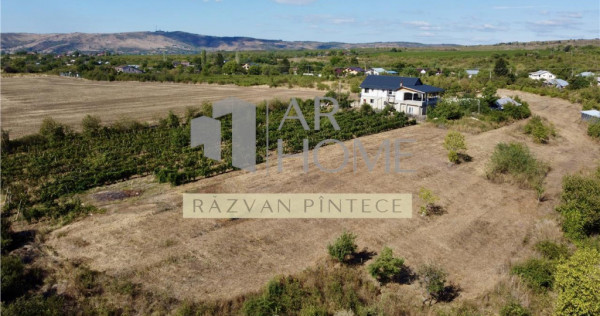 Pensiune 6 camere, teren 12713 mp, Dealul Mare, Urlati, Prah