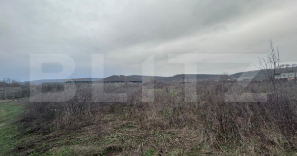 Teren extravilan de vanzare, 10.000 mp - Turcinesti