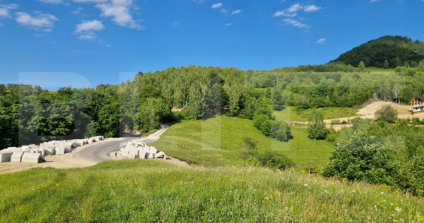 11,5 ha teren extravilan pe Trans Apuseana – cu izvor și