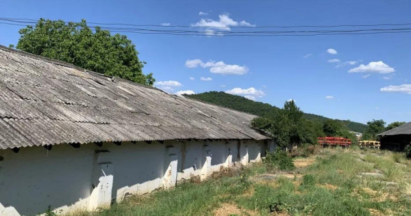 Spatiu comercial Industrial multifunctional: productie, depo