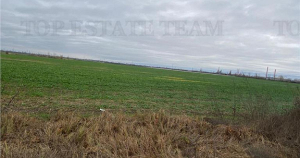 Teren Extravilan 60 HA, in Berceni-Prahova, investitie major